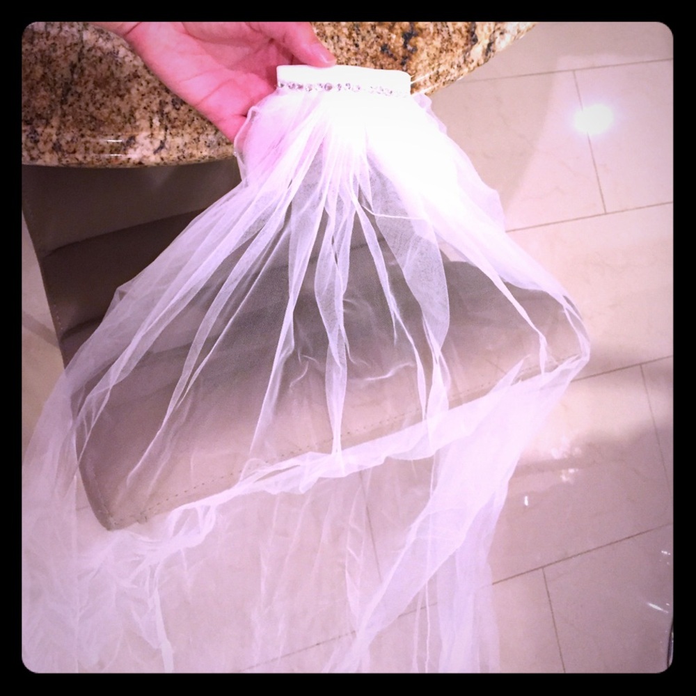 Cathedral wedding bridal veil